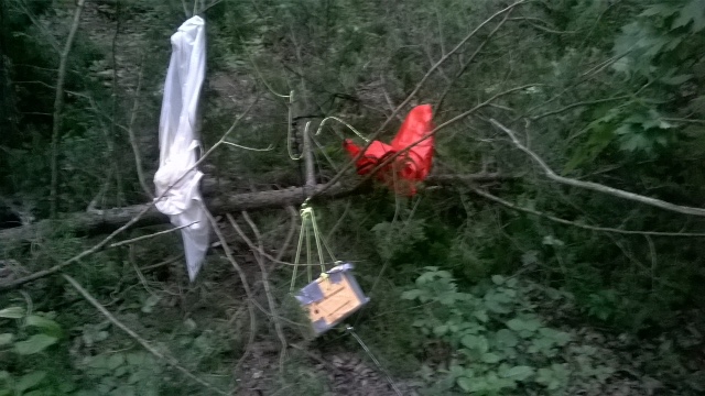 Weather Balloon Landed in a Tree